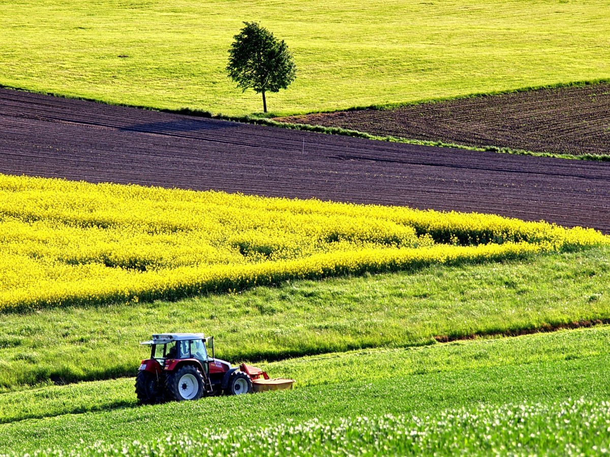 L'AGRI ACCOGLIE LA MIA RELAZIONE SU AGRICOLTORI E GREEN DEAL