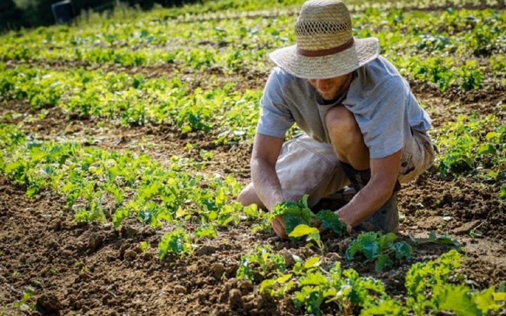 L’IMPORTANZA DI UNA NUOVA PAC