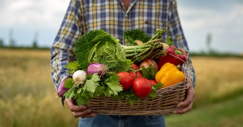 Convegno a Roma: “Il Cibo del futuro. Il futuro del Cibo”