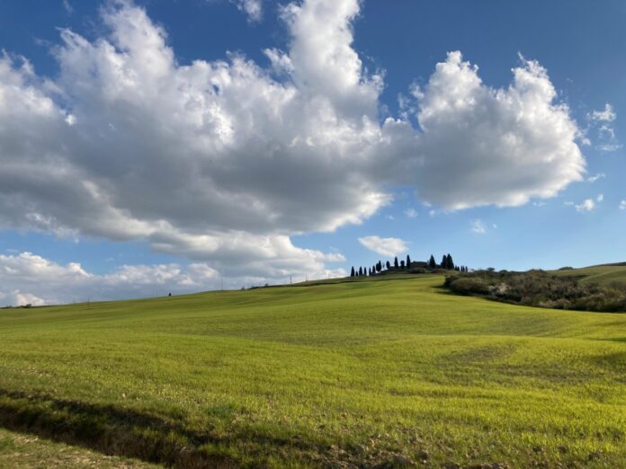 Sicurezza alimentare europea. Forza Italia: ripensare le strategie nazionali. Proposte presentate a Bruxelles