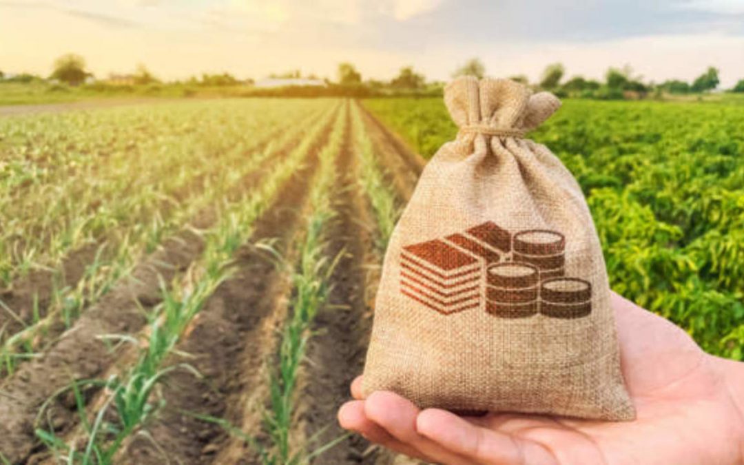 PREZZI AGRICOLI, BLOCCO DELL’EXPORT E RISCHIO PER LA SICUREZZA ALIMENTARE DELL’UE