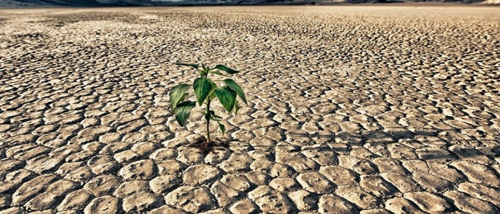 SICCITÀ E AGRICOLTURA, L’UE OTTIMIZZI LE RISORSE IDRICHE: IL MIO INTERVENTO IN PLENARIA