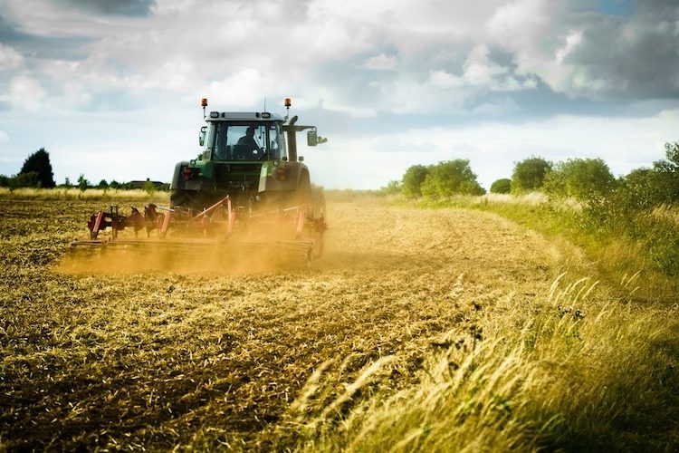 EUROPA E FERTILIZZANTI: UN CANE CHE SI MORDE LA CODA