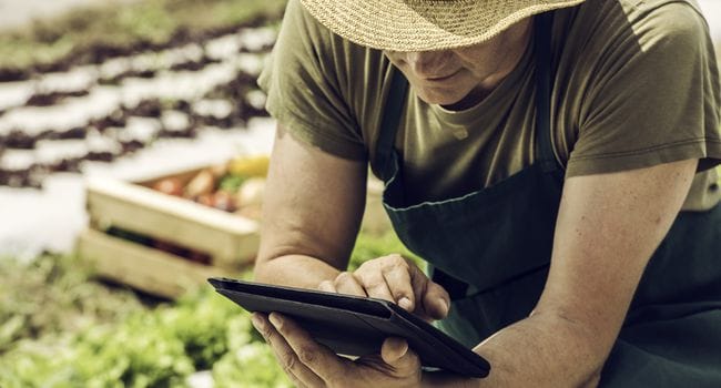 I GIOVANI E L’AGRICOLTURA, UN CONNUBIO CHE GUARDA AL FUTURO