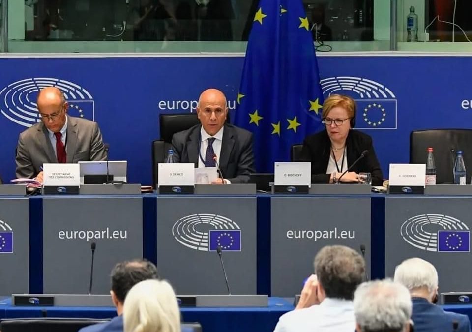 GLI OBIETTIVI COME PRESIDENTE DELLA COMMISSIONE AFFARI COSTITUZIONALI DEL PARLAMENTO EUROPEO