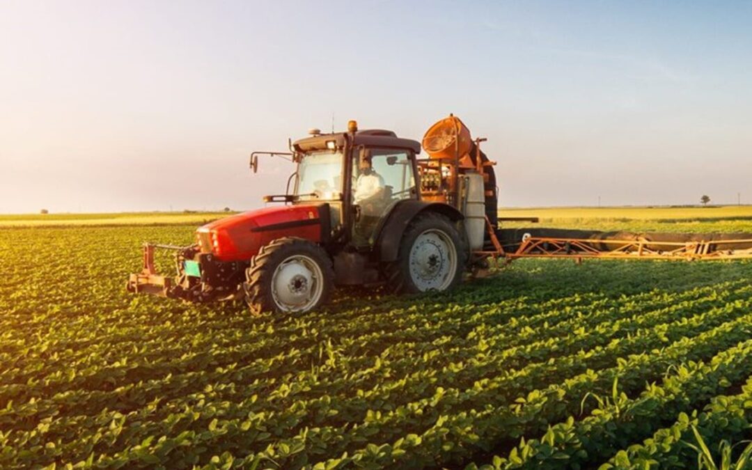 AGRICOLTURA, BENE MODIFICA NORME AIUTI DI STATO, MA CRUCIALE IMPEGNO FI E PPE