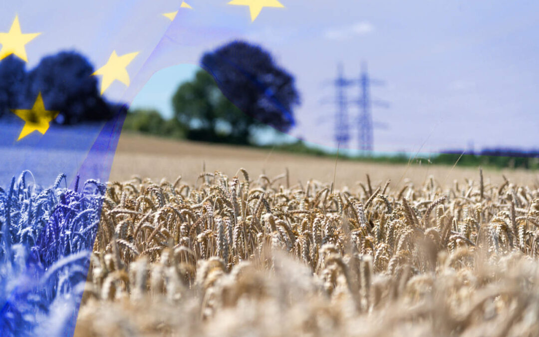 L’AGRICOLTURA IN EUROPA TRA VISIONI E REALTA’