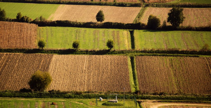Bocciata proposta su ripristino della natura. Dorfmann-De Meo: Vittoria per agricoltura europea