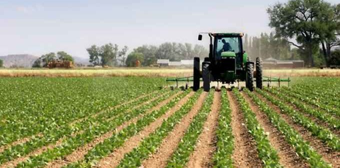 REGOLAMENTO SUL “RIPRISTINO DELLA NATURA” BOCCIATO DALL’UE: “ERA A RISCHIO IL 10% DEI TERRENI AGRICOLI”