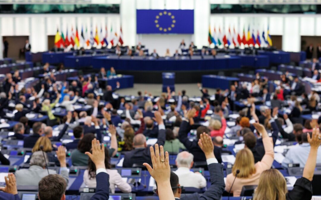 LA NUOVA COMPOSIZIONE DEL PARLAMENTO EUROPEO PER LE ELEZIONI DI GIUGNO 2024