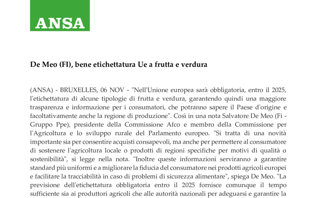 ANSA 7 Novembre 2023