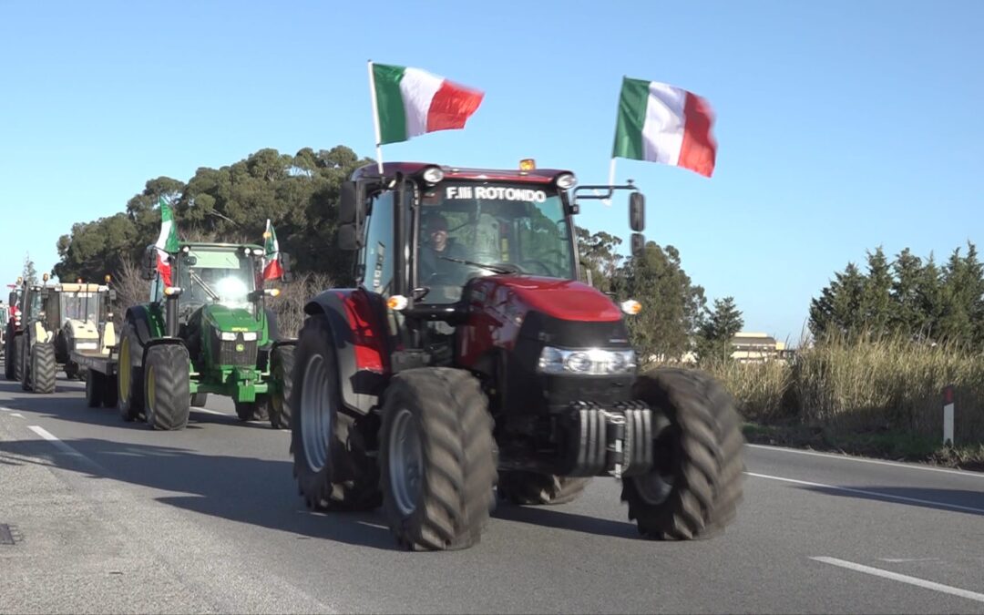 A BRUXELLES FORZA ITALIA È IMPEGNATA PER UNA AGRICOLTURA GIUSTA E NON IDEOLOGIZZATA