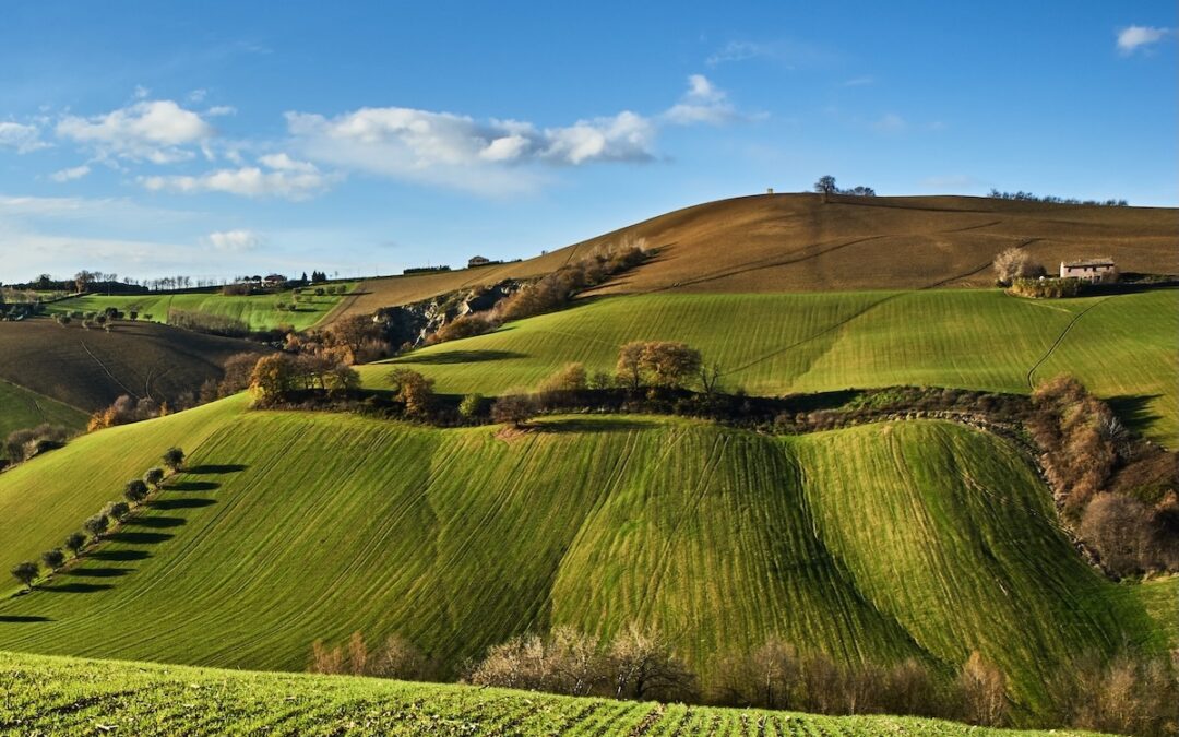 PIÙ TUTELE E MENO BUROCRAZIA PER L’AGRICOLTURA ITALIANA